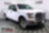 1FTEW1EP8HKD12258-2017-ford-f150-0