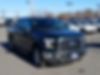 1FTEW1EP2GKF07951-2016-ford-f-150-0