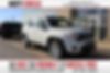 ZACNJABB4LPL11367-2020-jeep-renegade-0