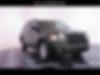 1J4FF47B99D203315-2009-jeep-compass-sport-0