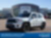 ZACNJABB2LPL10377-2020-jeep-renegade