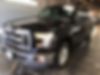 1FTEW1CP1GKE26569-2016-ford-f-150-0