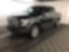 1FTEW1EF9GFB48825-2016-ford-f-150-0