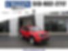 ZACNJBAB4LPL15975-2020-jeep-renegade-0