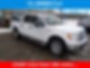 1FTFW1ET3DFC11326-2013-ford-f-150-0