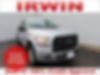 1FTEW1EP9GFC95462-2016-ford-f-150-0