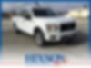 1FTEW1EP6JKD69130-2018-ford-f-150-0