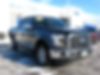 1FTEW1EP2GKF02622-2016-ford-f150-0