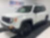 ZACNJBAB7LPL24489-2020-jeep-renegade