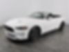 1FATP8UH5K5104454-2019-ford-mustang-1
