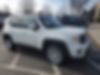 ZACNJABB2KPJ94385-2019-jeep-renegade-0