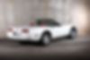 1G1YY3384M5112204-1991-chevrolet-corvette-2