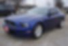 1ZVBP8AM9D5251223-2013-ford-mustang-0