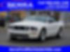 1ZVHT85H195128431-2009-ford-mustang-0