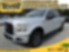 1FTEW1CP0GKD27449-2016-ford-f-150-0