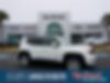 ZACNJABB2LPL01369-2020-jeep-renegade