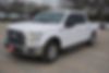 1FTEW1CP1HKC97282-2017-ford-f-150-0