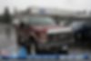 1FTSW21R08EB10383-2008-ford-f250-0