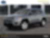 3C4NJDBB3LT100545-2020-jeep-compass-0