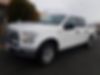 1FTEW1EF0GFB13073-2016-ford-f-150-2