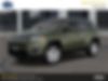 3C4NJDBB4LT100554-2020-jeep-compass-0