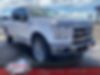 1FTEW1EFXGFA85802-2016-ford-f-150