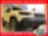 1C4PJMBXXLD580139-2020-jeep-cherokee-0