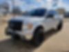 1FTFW1ET0BFD28195-2011-ford-f150-0