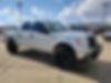 1FTFW1ET0BFD28195-2011-ford-f150-2