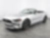 1FATP8UH6K5104561-2019-ford-mustang-1