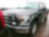 1FTEW1E82GFB68092-2016-ford-f-150-0