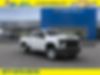 1GC1YLEY4LF221101-2020-chevrolet-work-truck-0