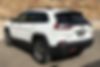 1C4PJMBX6LD604663-2020-jeep-cherokee-2