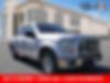 1FTEW1C81FKD29847-2015-ford-f150-0