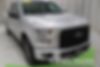 1FTEW1EP8HFB33906-2017-ford-f150-0