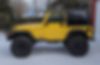 1J4FA49S24P761638-2004-jeep-wrangler-1