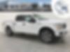 1FTEW1EP0KFD43312-2019-ford-f-150-0