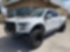 1FTFW1RG1HFC13207-2017-ford-f150-0