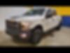 1FTEW1E84FFB63006-2015-ford-f-150-0