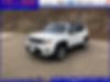 ZACNJBD14KPJ95127-2019-jeep-renegade-0