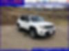ZACNJBD14KPJ95127-2019-jeep-renegade-2