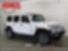 1C4HJXEN1KW500245-2019-jeep-wrangler-unlimited-0