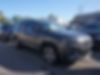1C4PJMDX9KD303557-2019-jeep-cherokee-0