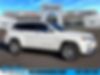 1C4RJEJG8LC140880-2020-jeep-grand-cherokee-0