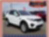 SALCP2FX5KH795309-2019-land-rover-discovery-sport-0
