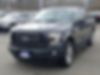 1FTEW1EP2GFD46672-2016-ford-f-150-1