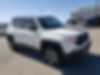 ZACNJBC15KPK13653-2019-jeep-renegade-2