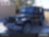 1J4AA2D12AL124278-2010-jeep-wrangler-0