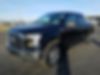 1FTEW1EPXGFA94895-2016-ford-f-150-0