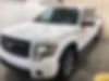 1FTFW1ET3DFB12084-2013-ford-f-150-0